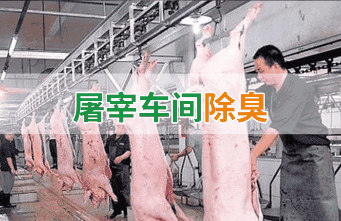 屠宰場(chǎng)臭氣影響周邊環(huán)境？解決辦法在這里-1