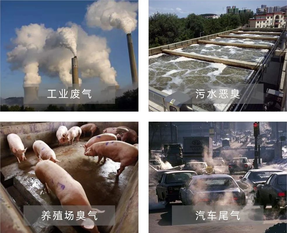 Dejing的凈工業(yè)除臭劑——解決臭味困擾的源頭！.jpg