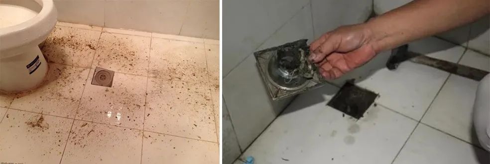 家里衛(wèi)生間老有異味，潔匠凈化教您如何解決難聞的臭味.jpg