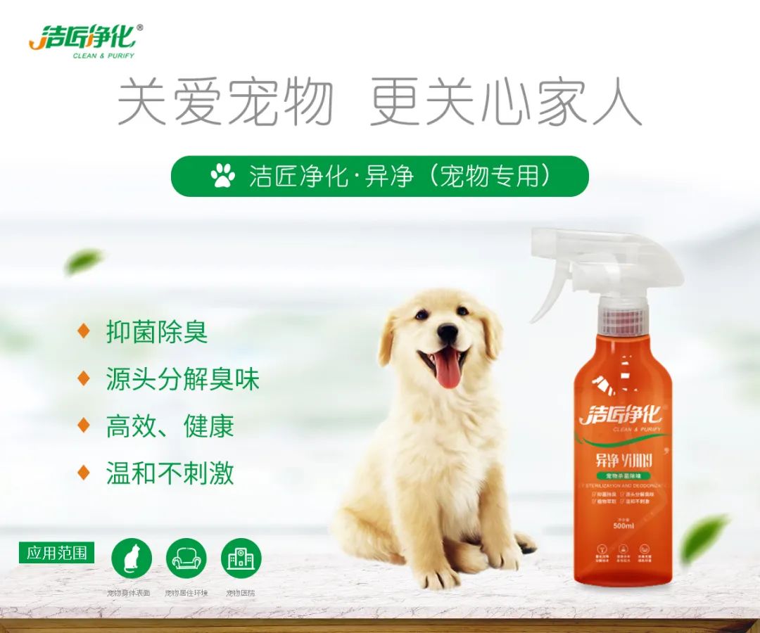 寵物氣味彌漫整個屋子，潔匠凈化教您如何除味
